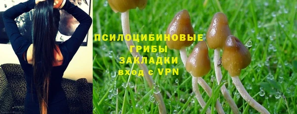 мдма Медногорск